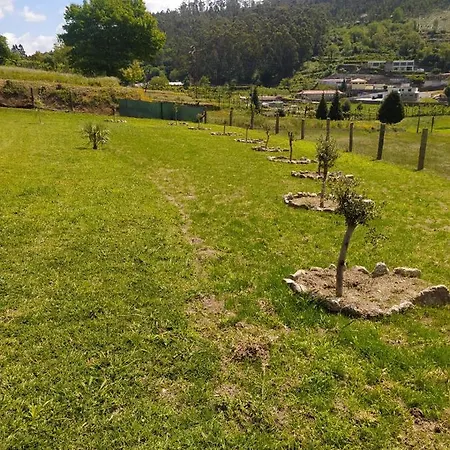 Gospodarstwo wiejskie Quinta Dos Campos - 2