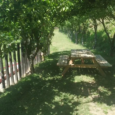 Gospodarstwo wiejskie Quinta Dos Campos - 2