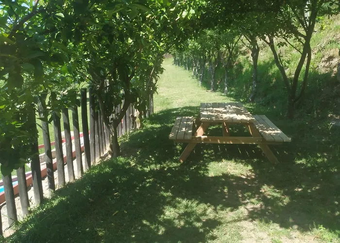 カントリーハウス Quinta Dos Campos - 2